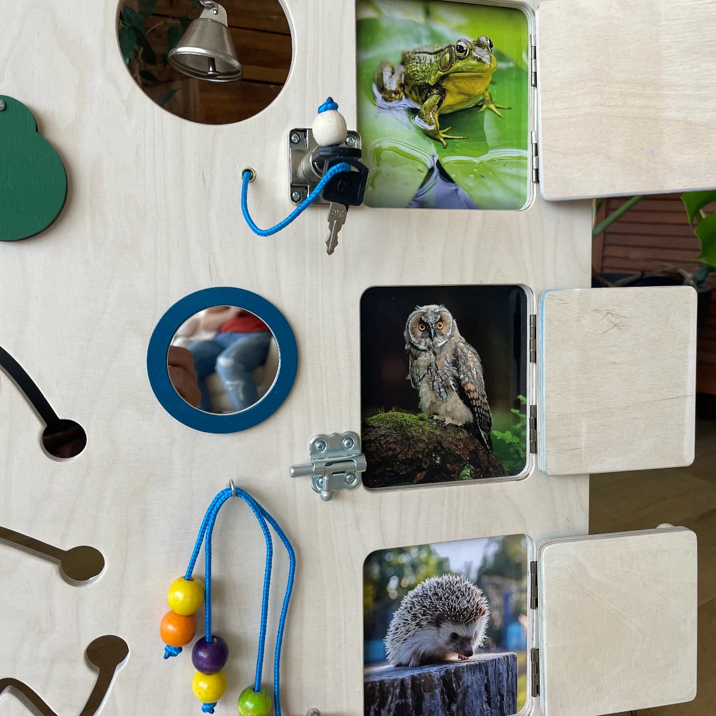 Close-up of interactive animal flap doors with frog, owl, and hedgehog pictures on the sensory panel.