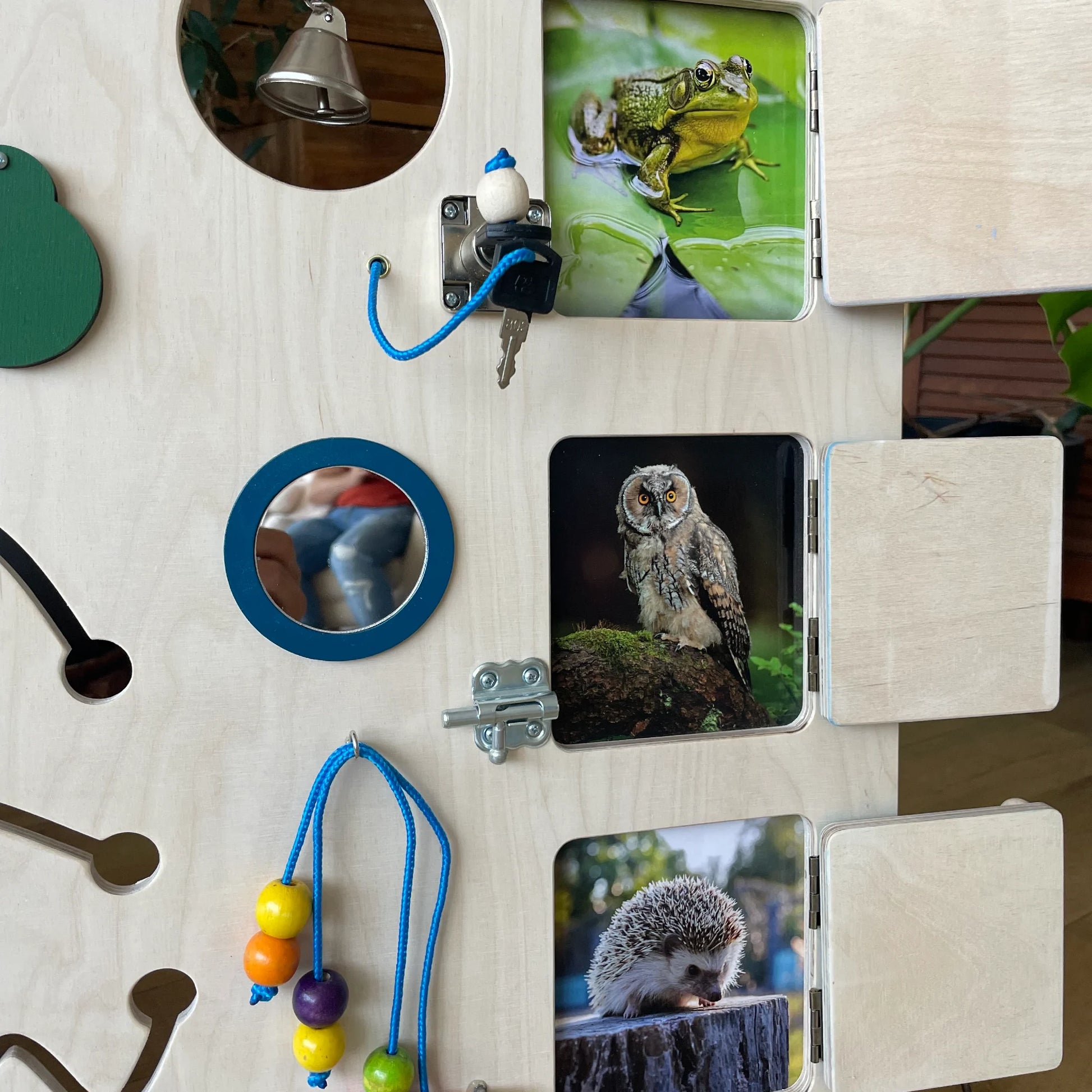 Close-up of interactive animal flap doors with frog, owl, and hedgehog pictures on the sensory panel.

